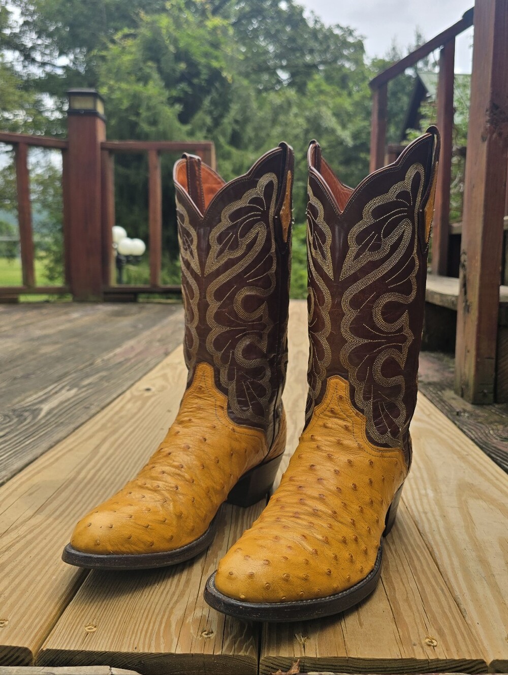 The El Dorado Handmade Full Quill Ostrich Buttercup Yellow Brown Western Boot 9D